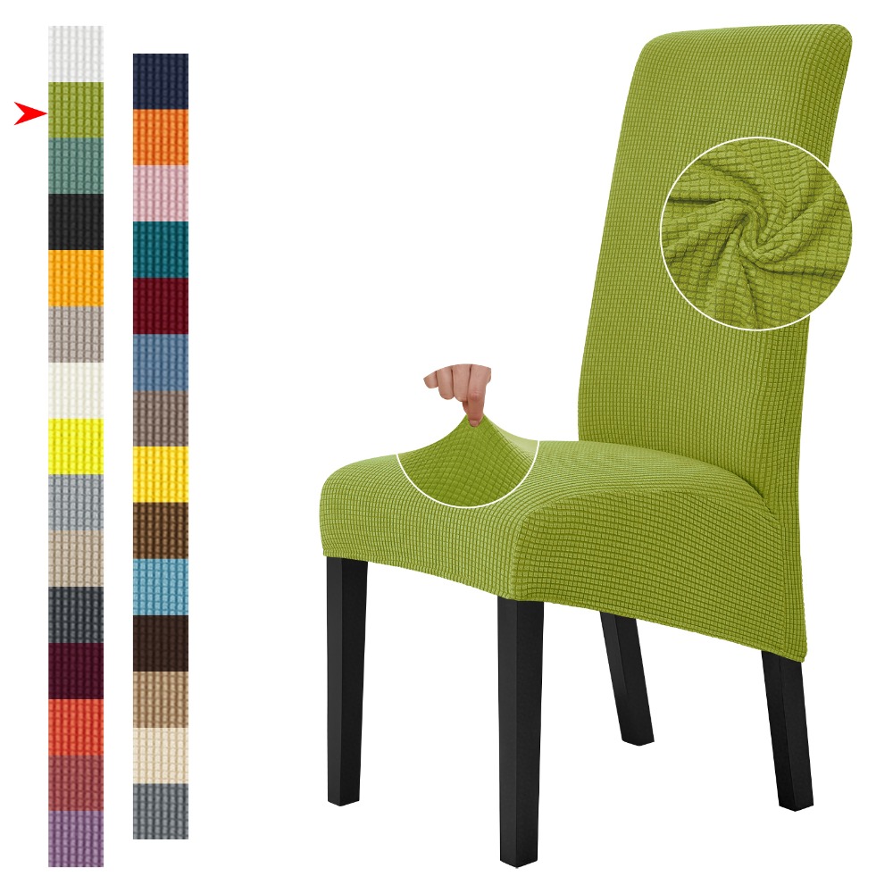 Large Size Chair Cover Dining  - đánh giá và giá Visitor Chair Padded